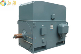 德阳YTM系列磨煤机用高压三相异步电动机