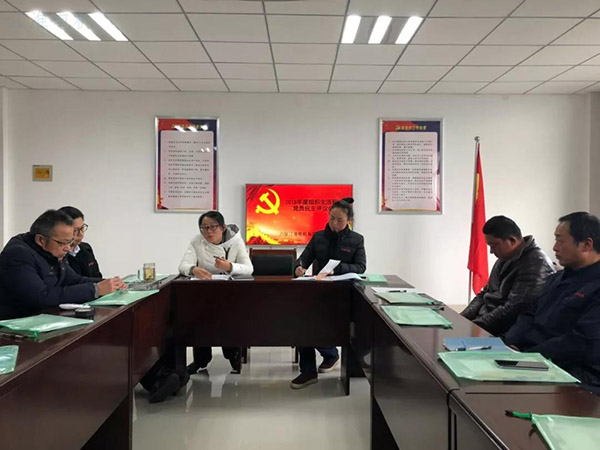 鉴黑担保网,鉴黑网电机党委书记、总经理江茜同道讲话。