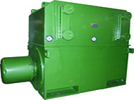 德阳高压电机的技术特点与利用